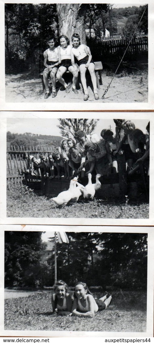 3 Photos Originales Guerre 1939-45 Jeunes Filles Du III Reich & Bund Deutscher Mädel (BDM) Nazisme & Endoctrinement - Guerra, Militari