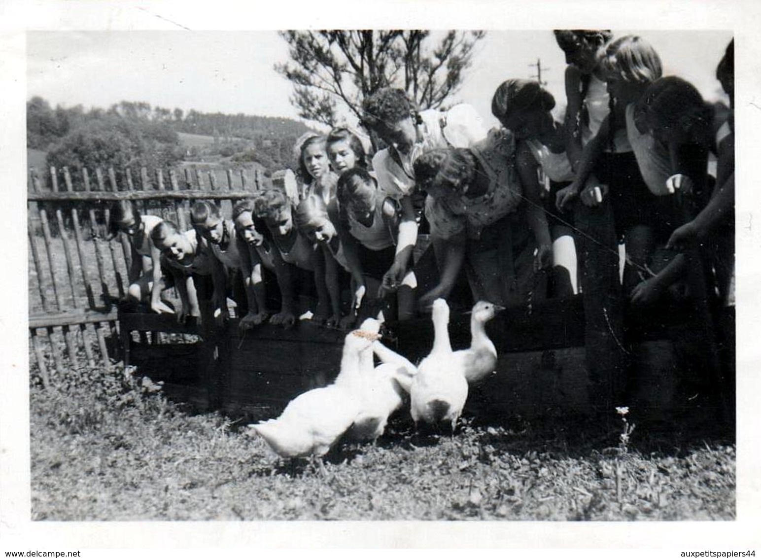 3 Photos Originales Guerre 1939-45 Jeunes Filles Du III Reich & Bund Deutscher Mädel (BDM) Nazisme & Endoctrinement - Guerra, Militari