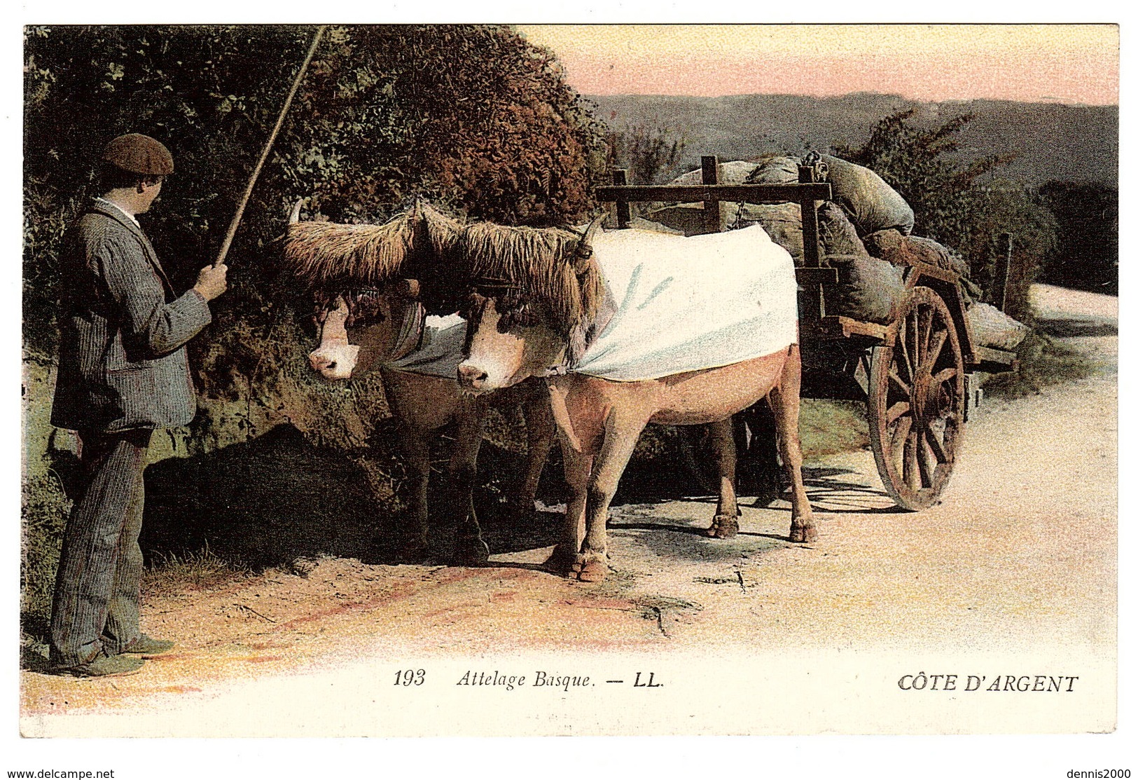 ATTELAGE BASQUE - BOEUFS - Ed. LL. - 193 - Attelages