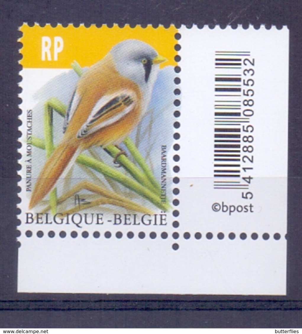 Belgie - 2019 - OBP -  ** Baardmannetje  - Vogels - A.Buzin ** - 1985-.. Birds (Buzin)