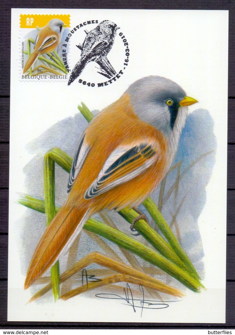 Belgie - 2019 - OBP - Max. Kaart  ** Baardmannetje  - Vogels - A.Buzin ** - 2011-..