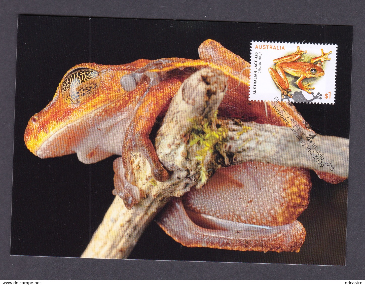 5.- AUSTRALIA 2018 MAXIMUM CARD - AUSTRALIAN FROGS - Ranas