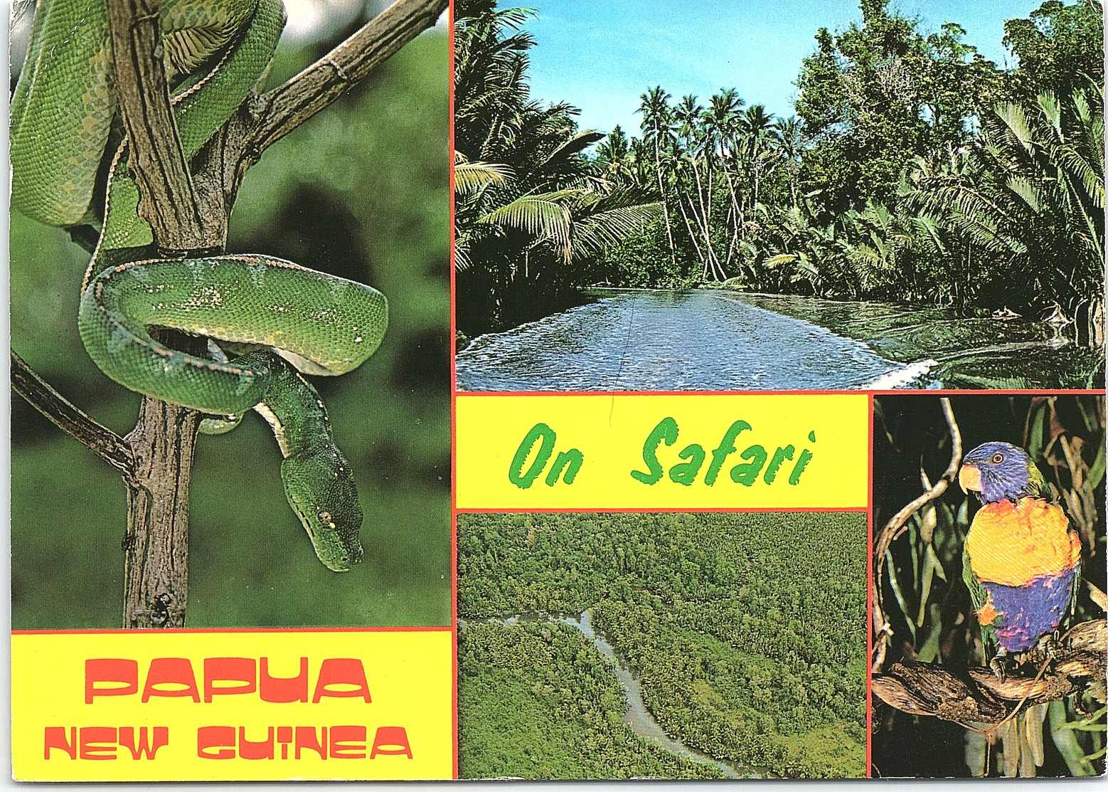 Multi View, On Safari, Western Province, Papua New Guinea - Papua Nuova Guinea