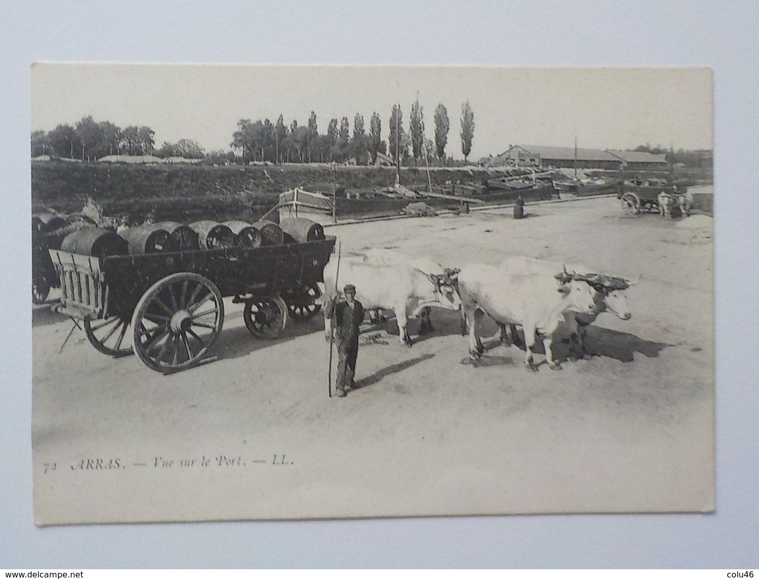 1900 CP Arras Attelage Boeufs Charrette Avec Tonneaux Vin? Vue Sur Le Port N° 72 - Arras