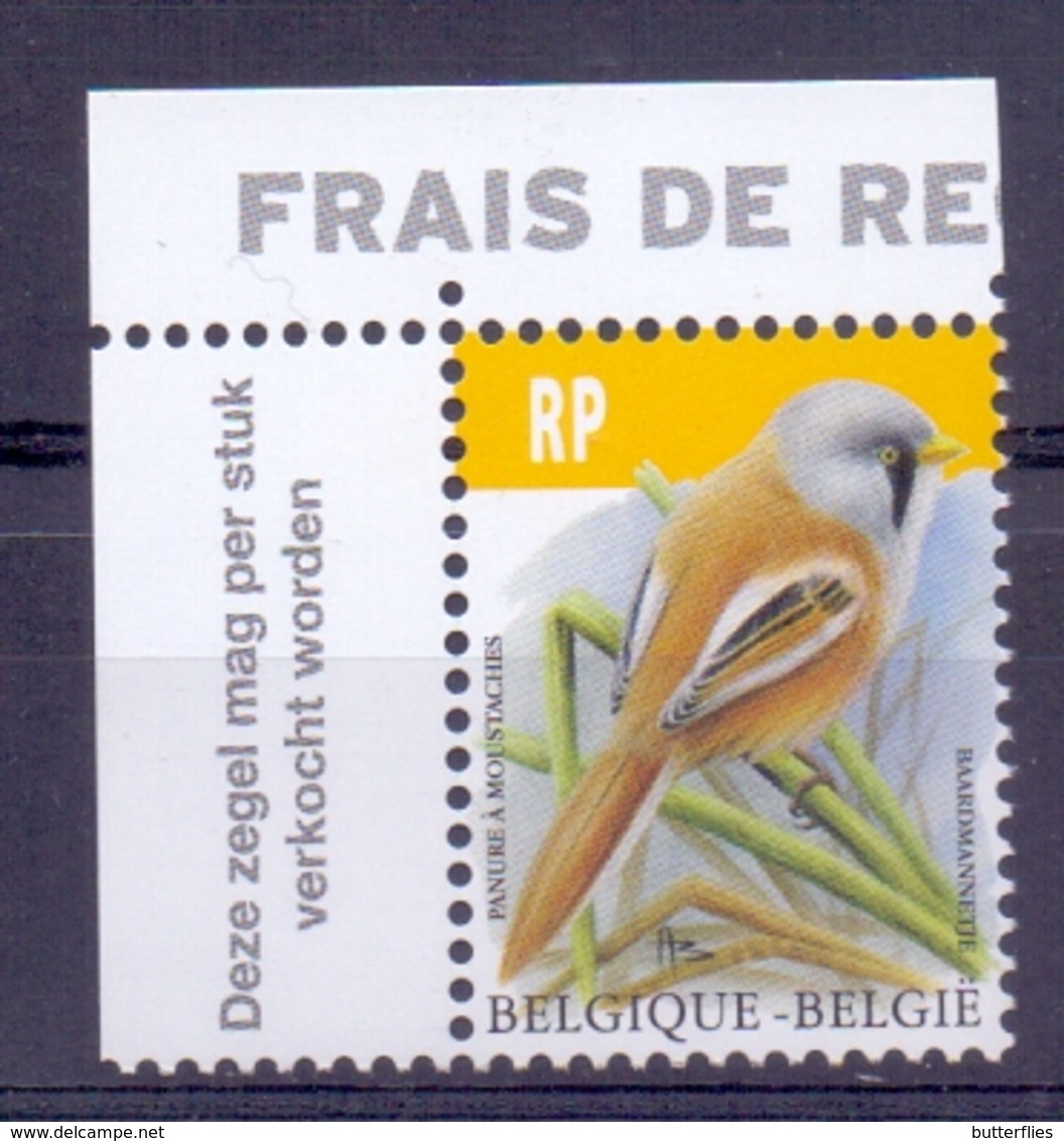 Belgie - 2019 - OBP -  ** Baardmannetje  - Vogels - A.Buzin ** - Unused Stamps