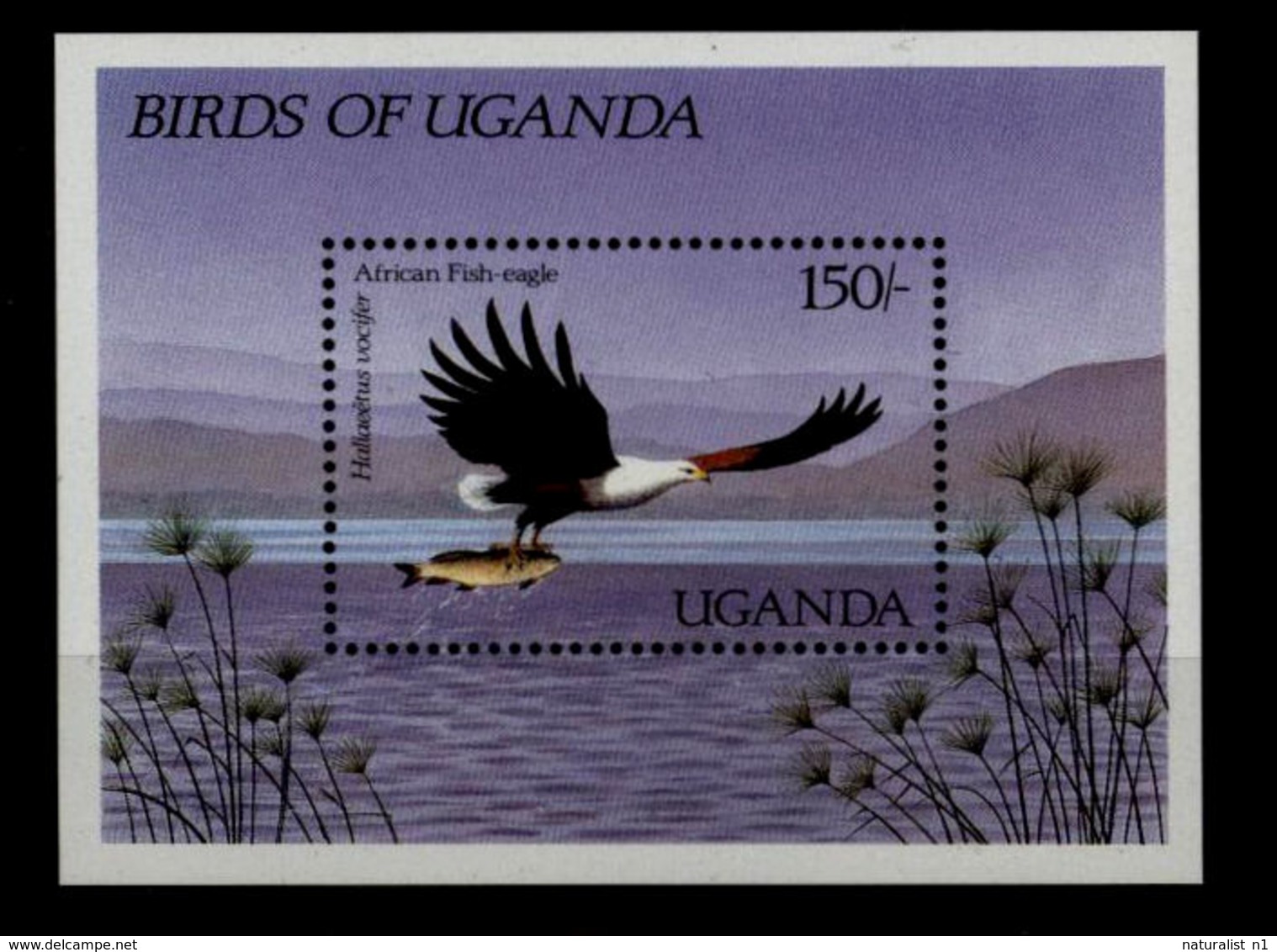 Uganda 1987 **MNH African Fish Eagle Schreiseeadler Pygargue Vocifer - Adler & Greifvögel