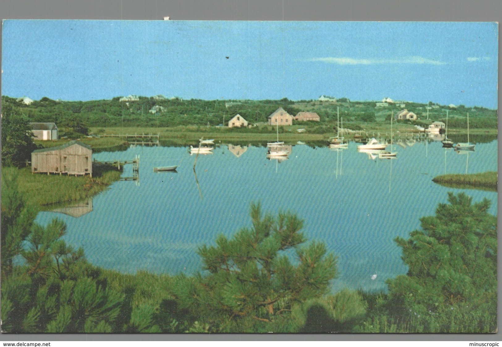 CPM USA - Martha's Vineyard - The Secluded Anchorage Of Quitsa Pond - Autres & Non Classés