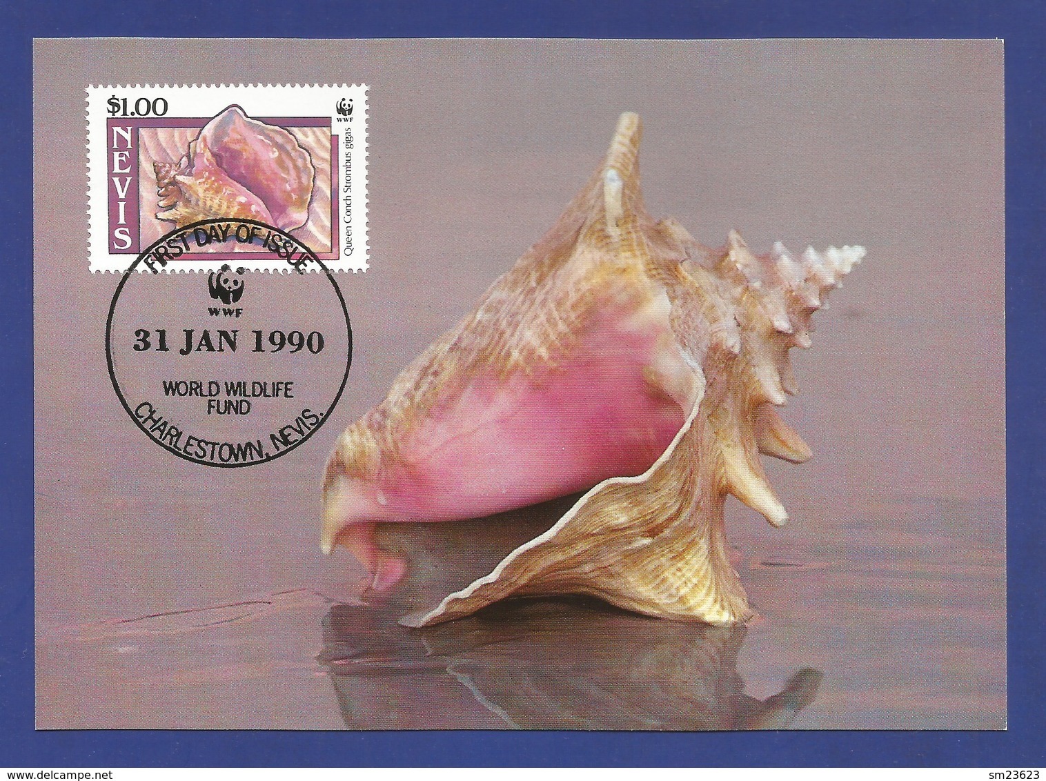 St.Kitts And Nevis 1990 , Queen Conch / Die Fechterschnecke - WWF Official Maximum Card - 31 Jan.90 - St.Kitts-et-Nevis ( 1983-...)