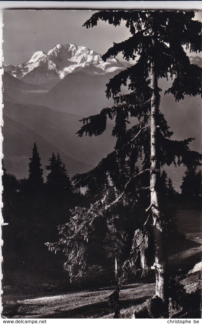 Switzerland, Suisse, Riederalp, Ausblick Auf Den Fletschhorn (pk56960) - Horn