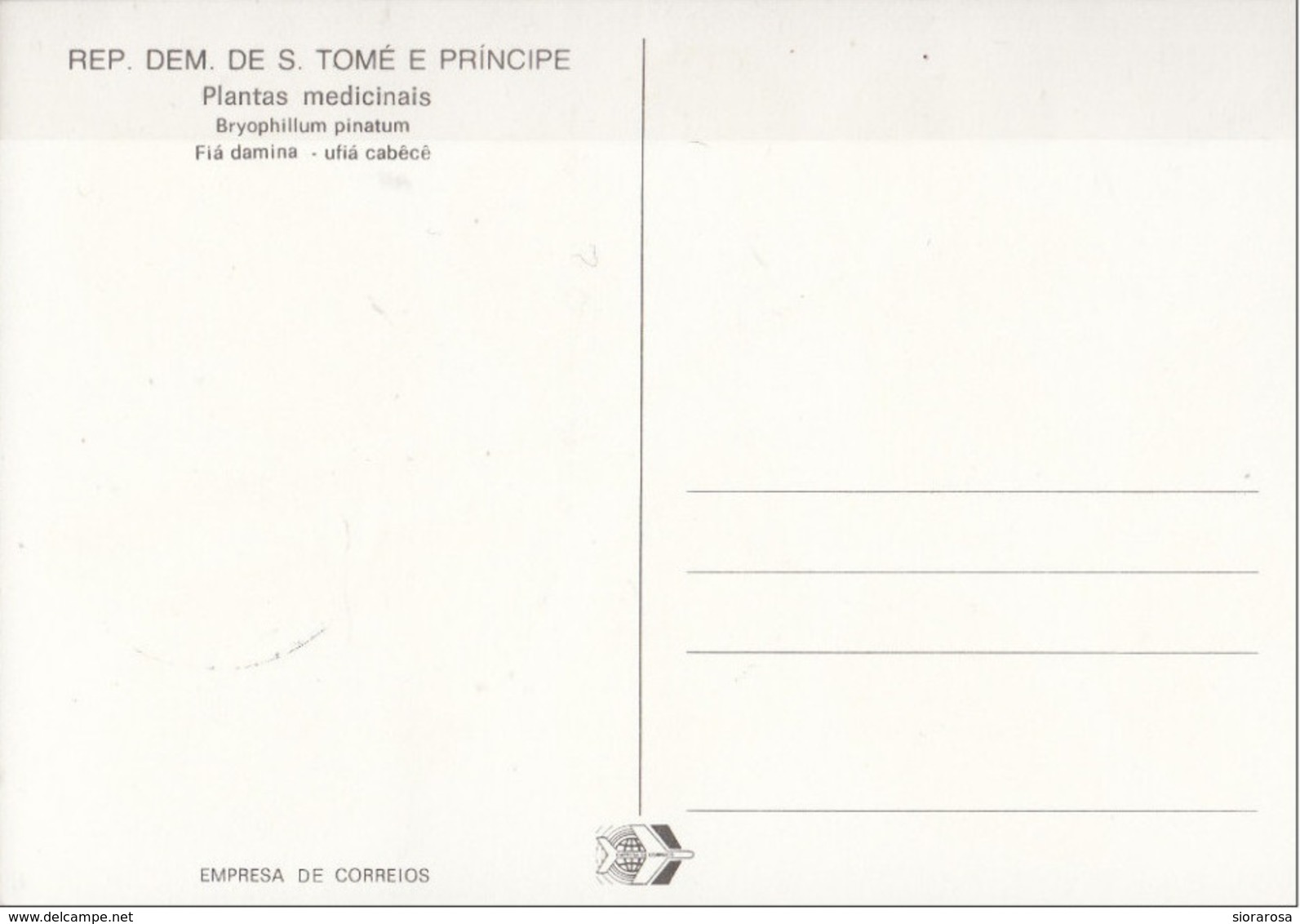 716 S. Tomé E Principe 1983 Medicinal Plants Maximum Card Bryophillum Pinatum Piante Medicinali Maxi - Sao Tomé E Principe