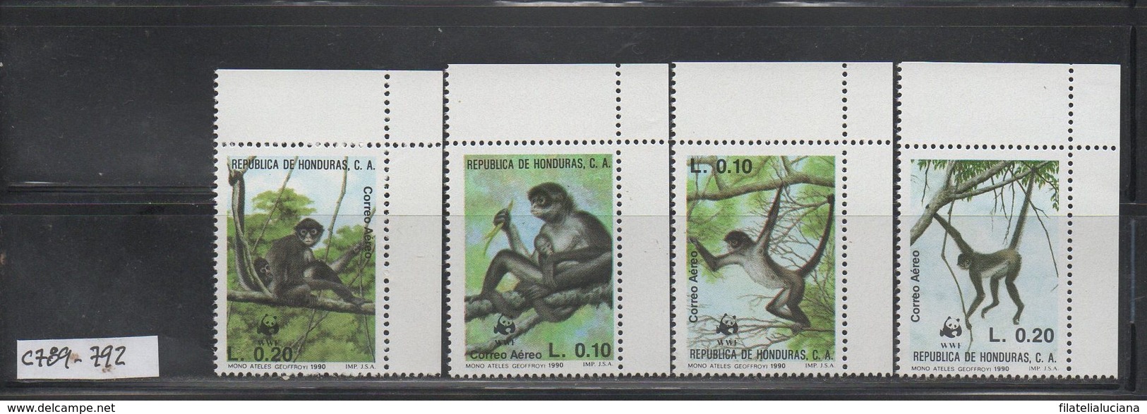 MNH Full Set Honduras Set 1990 WWF Monkey Scott C789-C792 CV $ 20.00 - Unused Stamps