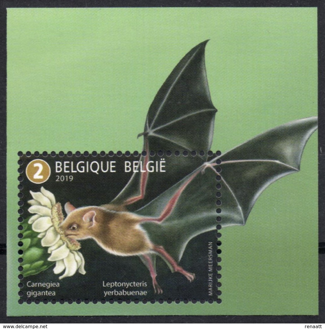 Belgium 2019 MNH, Animals, Pollinators, Lesser Long-nosed Bat (Leptonycteris Yerbabuenae) On Saguaro Cactus - Bats