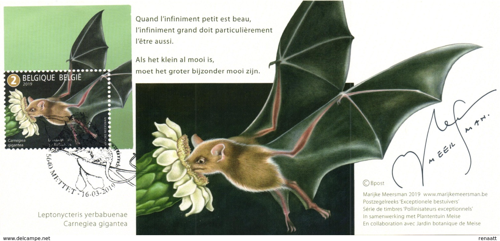 Belgium 2019 CM MC Maximum Card, Animals, Pollinators, Lesser Long-nosed Bat (Leptonycteris Yerbabuenae), Saguaro Cactus - Bats