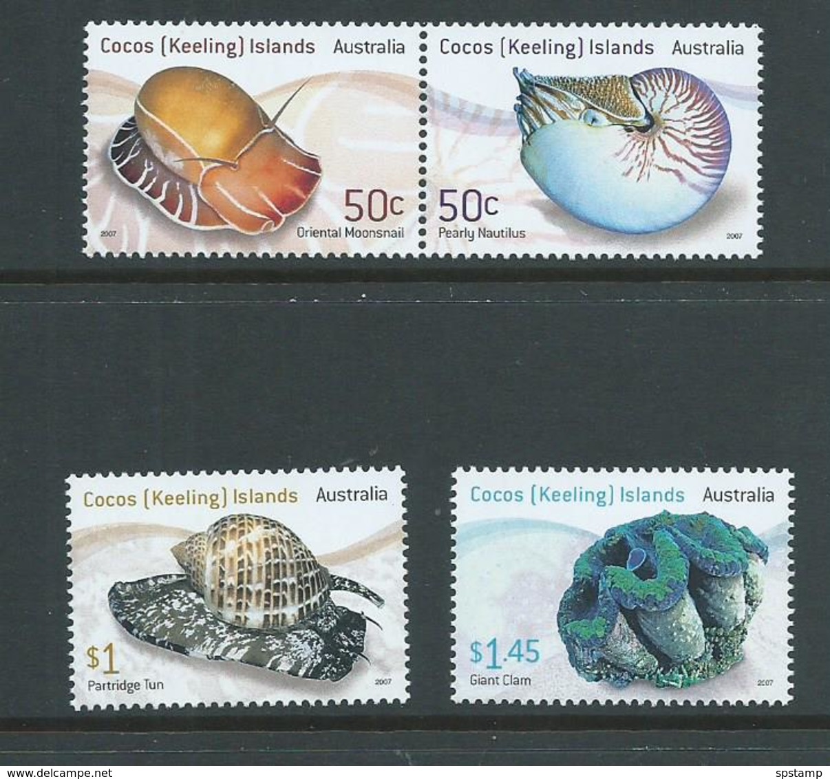 Cocos Keeling Island 2007 Shells Set Of 4 MNH - Cocos (Keeling) Islands