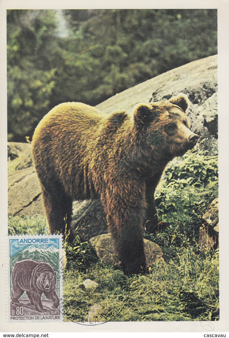 Carte  Maximum  1er   Jour   ANDORRE   Protection  De  La  Nature  :  L' Ours    1971 - Maximumkarten (MC)