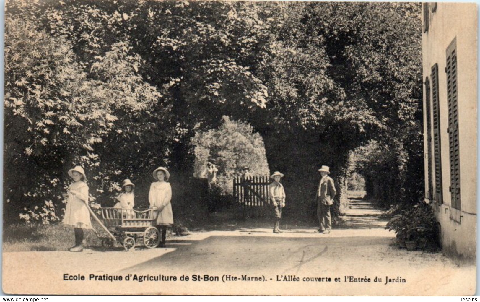 52 - SAINT BON --  Ecole Pratique D'Agriculture - L'Allée Couverte Et L'entrée Du Jardin - Other & Unclassified