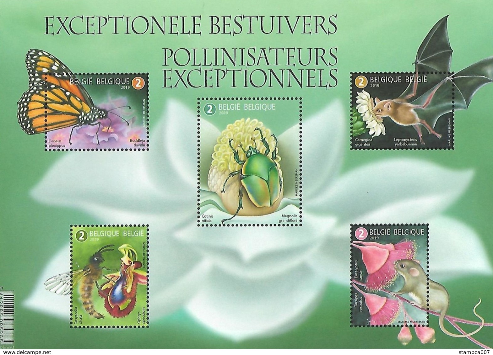 2019 Fauna Butterfly Vlinder Papillon Bat Vleermuis Chauve Souris... Meersman  MNH  !! - Unused Stamps