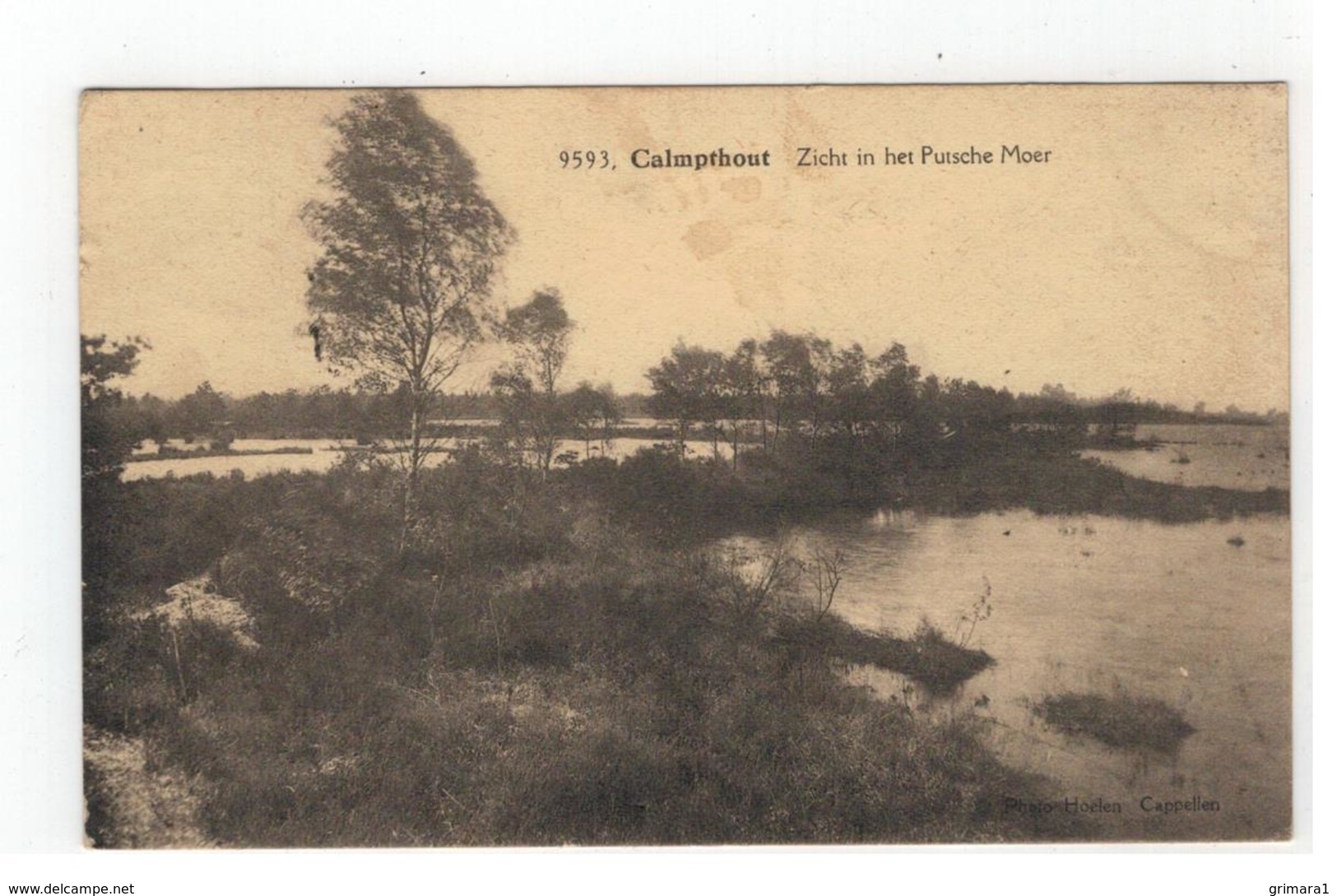 9593 Calmpthout  Zicht In Het Putsche Moer Photo Hoelen Cappellen - Kalmthout