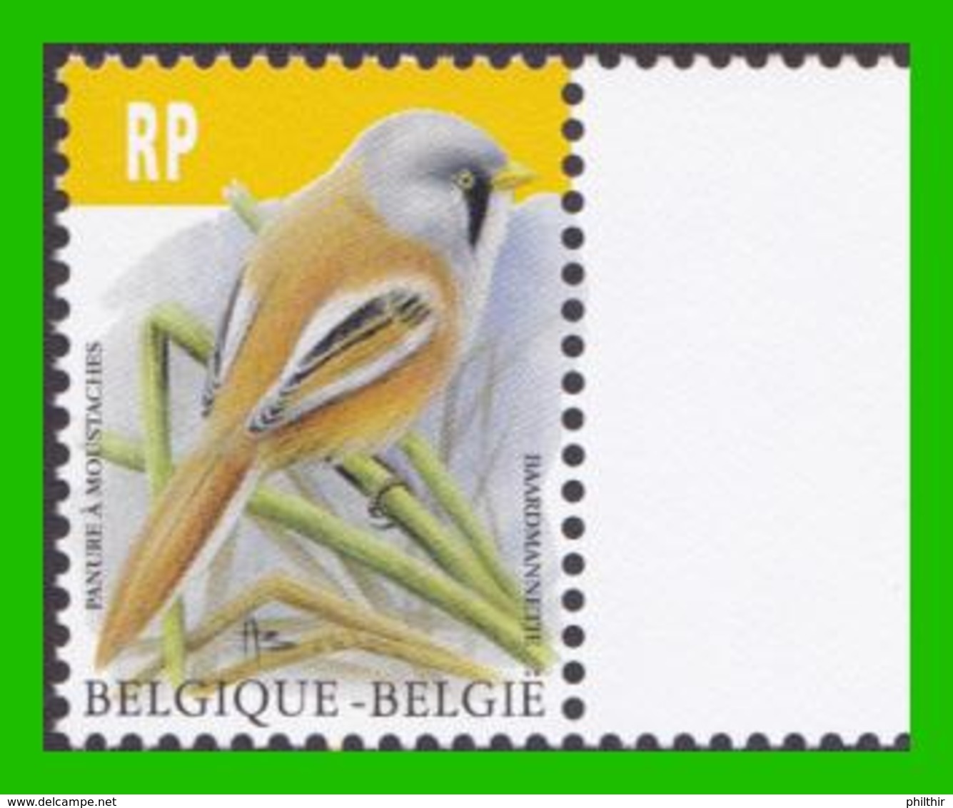 BUZIN - Panure à Moustaches Ou Mésange à Moustaches - 1985-.. Birds (Buzin)
