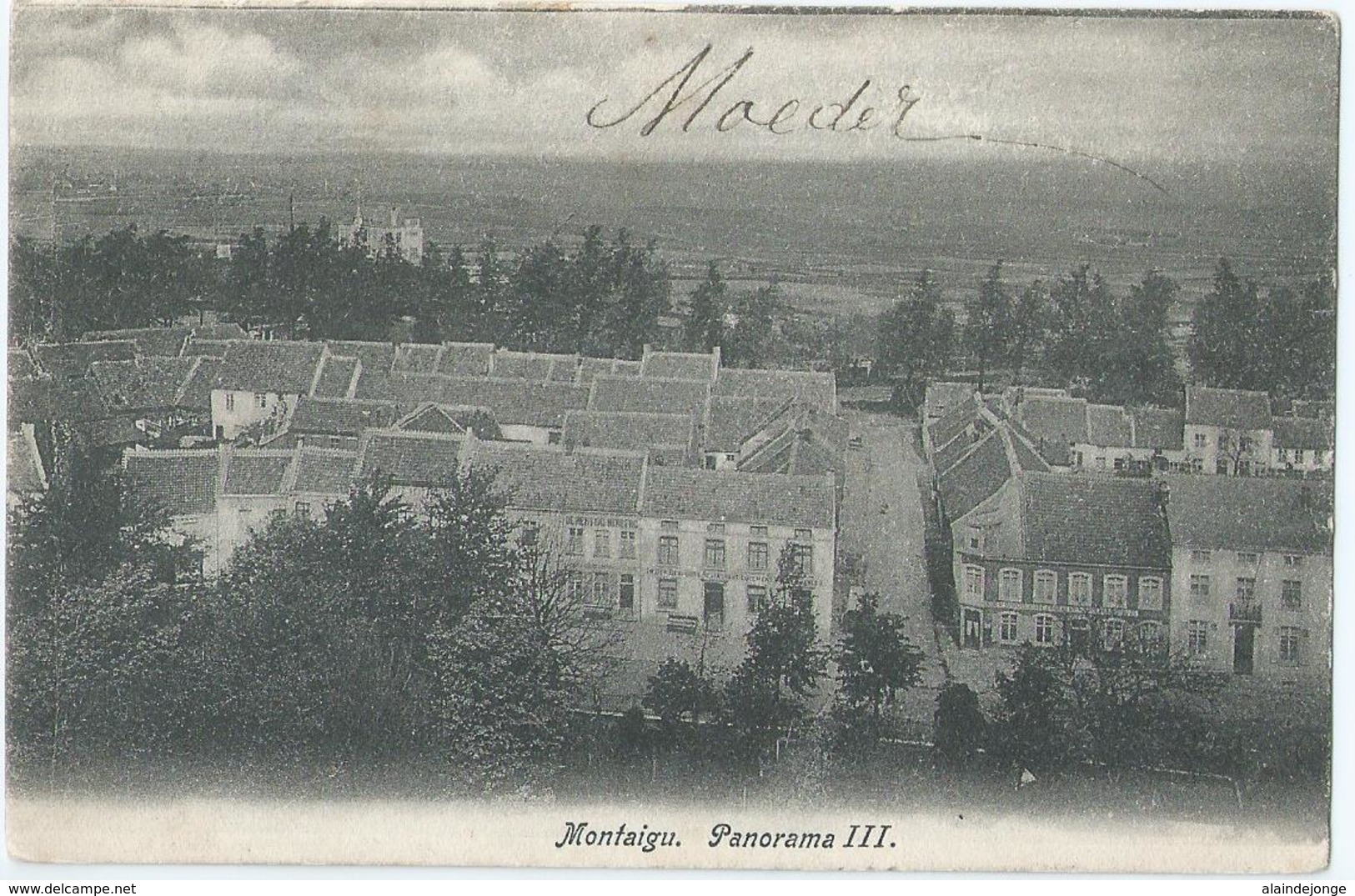 Scherpenheuvel - Montaigu - Panorama III - 1910 - Scherpenheuvel-Zichem