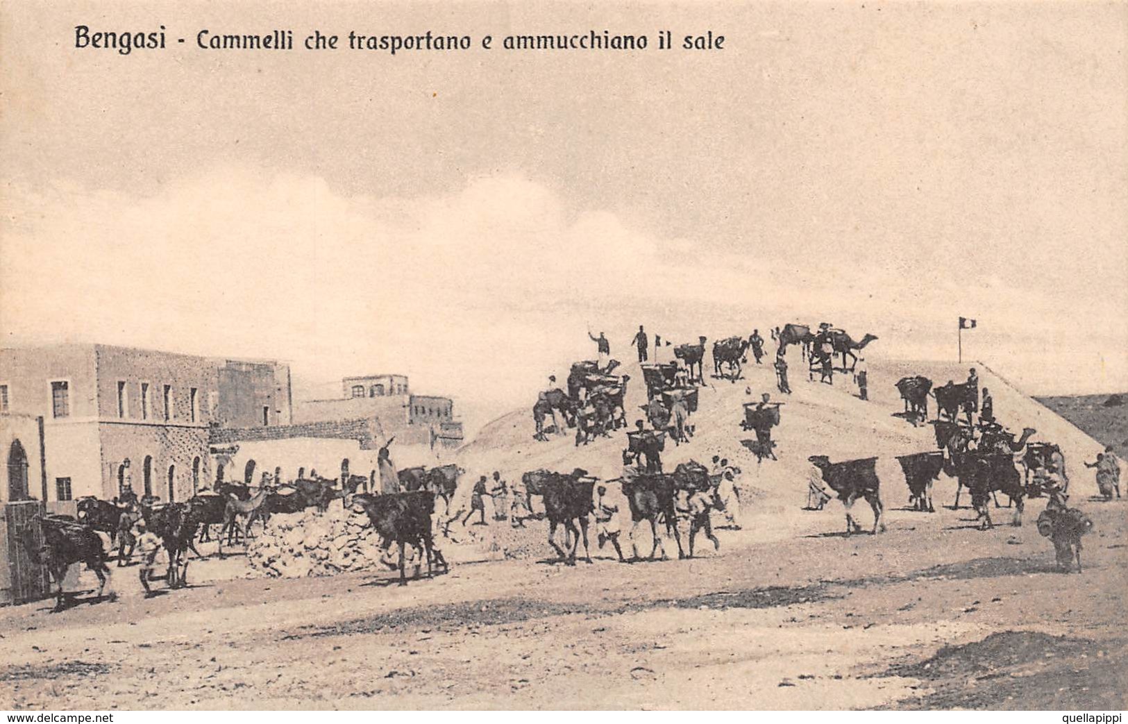 09059 "LIBIA- BENGASI - CAMMELLI CHE TRASPORTANO E AMMUCCHIANO IL SALE" CART NON SPED - Libia