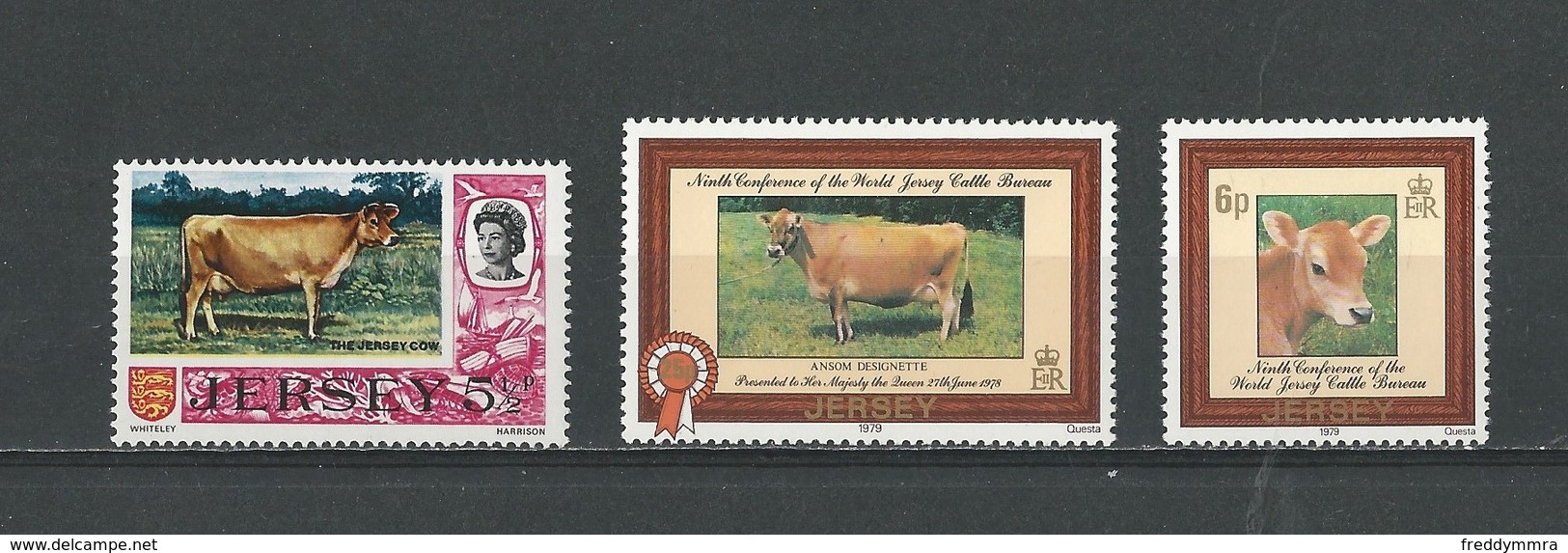 Jersey: 102 ** Dent 14.1/2 +  186/ 187 **  Vaches De Jersey - Vaches