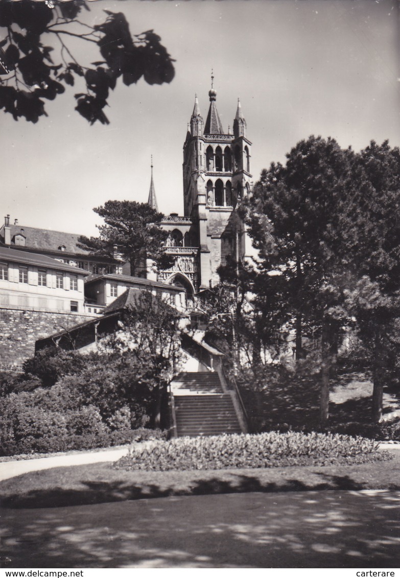 SUISSE,SWITZERLAND,SWISS,HELVETIA,SCHWEIZ,VAUD,LAUSANNE,LOSANNA,CARTE PHOTO,PARC - Lausanne