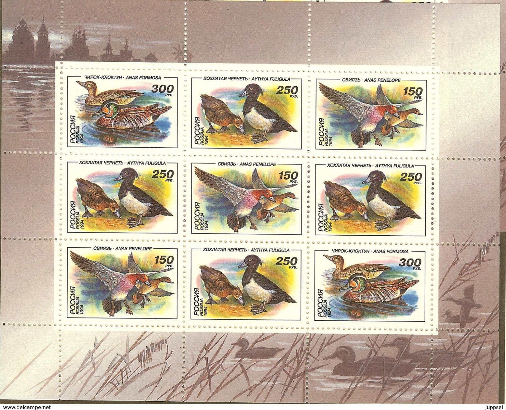 M/S MNH Russia Ducks 1994, Neuve Feuille Russie Canards - Entenvögel