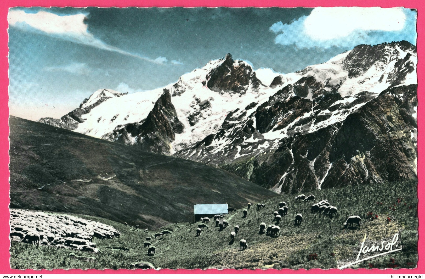 Cp Dentelée - Alpe D'Huez - Alpage Au Pied Des Cimes - Mouton - Edit. Photo JANSOL - 1958 - Colorisée - Rhône-Alpes