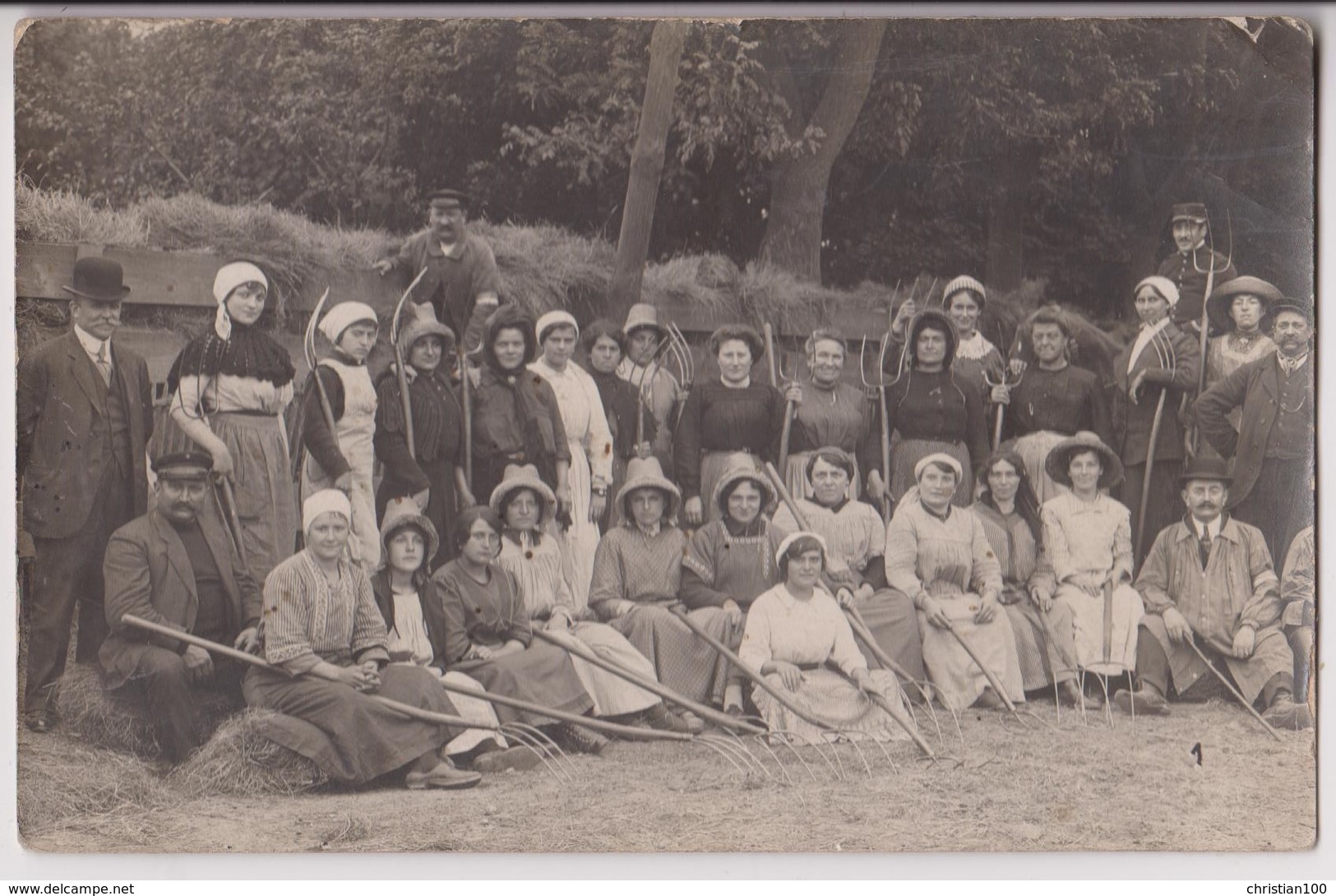 CARTE PHOTO : RAMASSAGE DES FOINS - FENAISON - UNE EQUIPE DE PAYSANS AVEC DES FOURCHES A FOIN - 2 SCANS - - Cultures