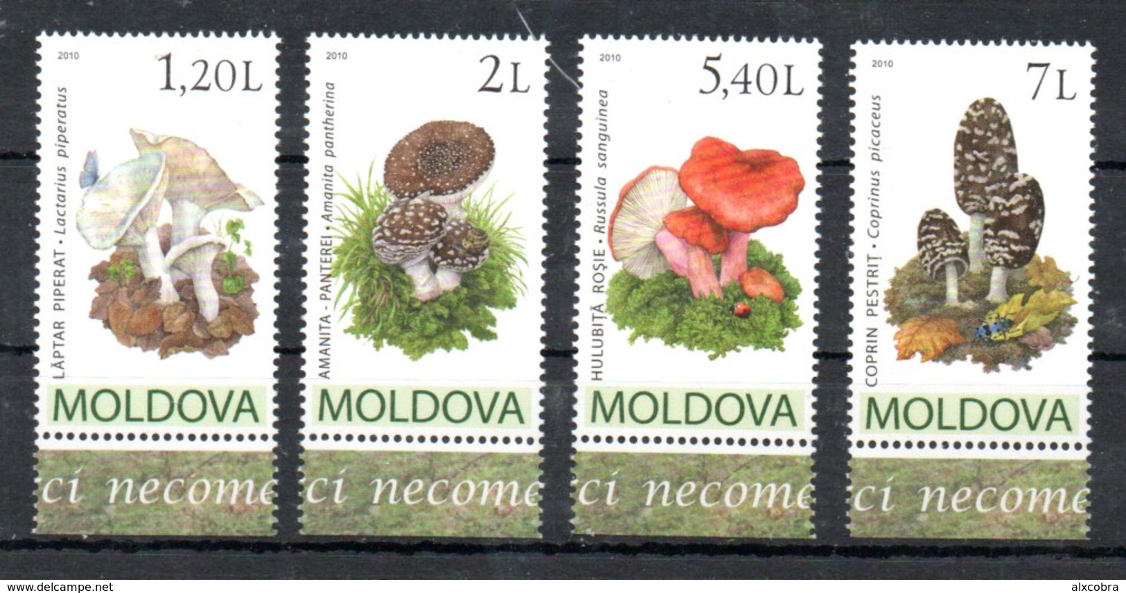 Moldavia Moldova Mushrooms Fungi 2010 MNH - Moldova