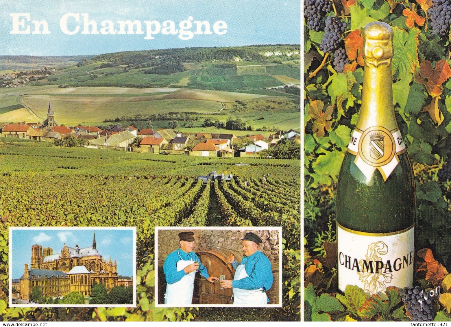 EN CHAMPAGNE MULTIVUES (dil304) - Champagne - Ardenne