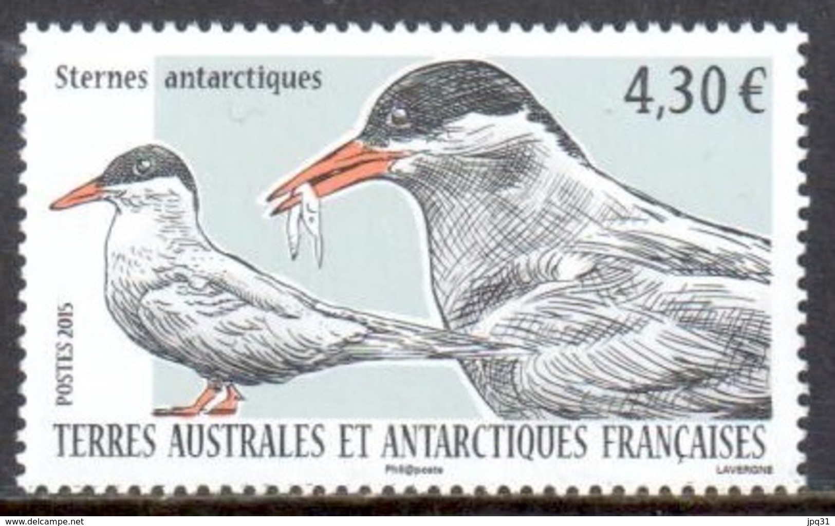 TAAF - 2015 - Sternes Antarctiques ** - Unused Stamps