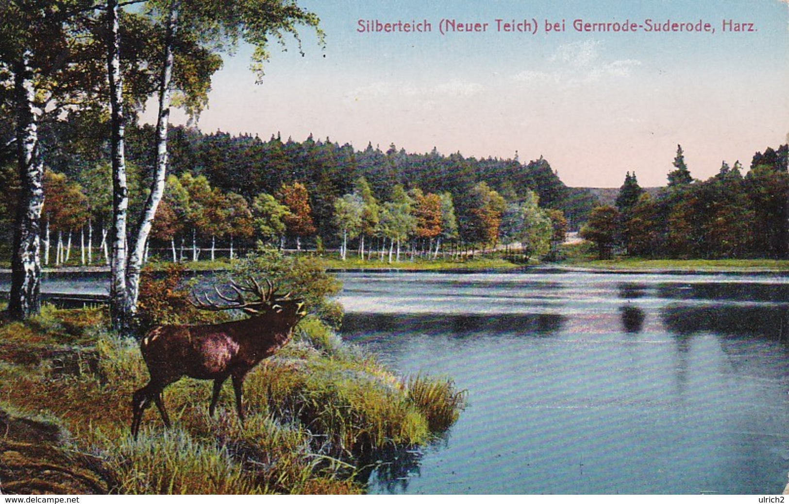 AK Silberteich (Neuer Teich) Bei Gernrode-Suderode - Harz - Hirsch - 1935 (40130) - Quedlinburg