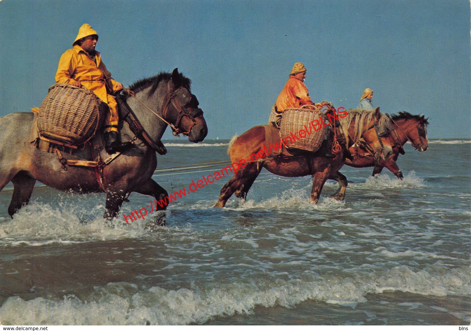 Garnaalvisser - Oostduinkerke - Oostduinkerke