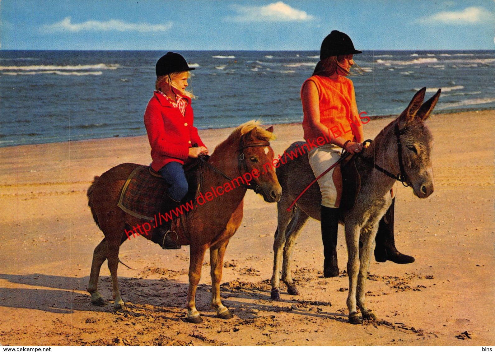 Ezel Rijden - Oostduinkerke - Oostduinkerke