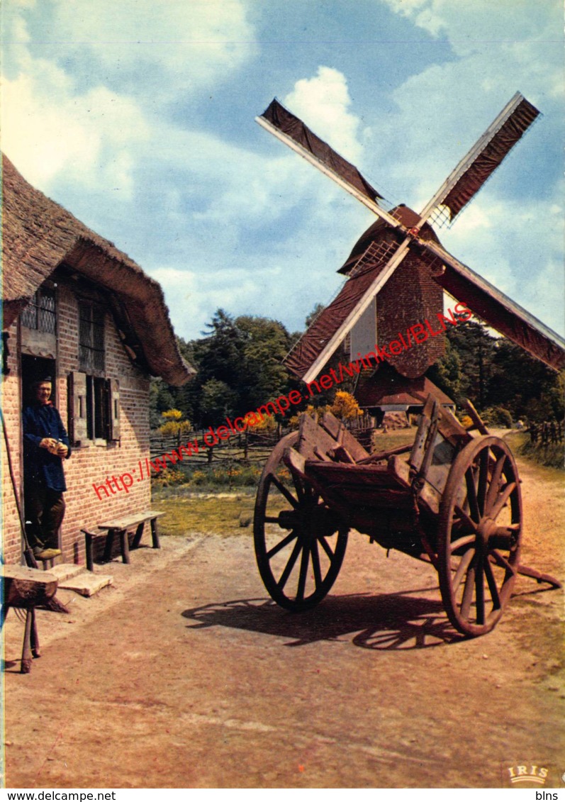 Kempense Hoeve Uit Vorselaar - Provinciedomein Bokrijk Openluchtmuseum - Genk - Genk