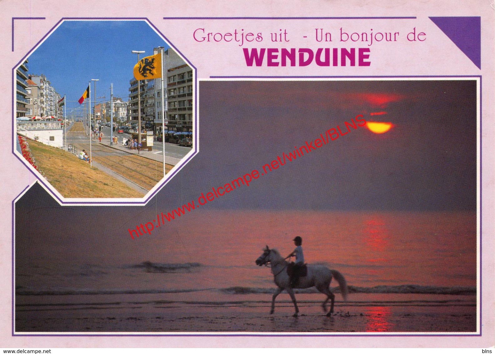 Ruiter Met Paard - Wenduine - Wenduine