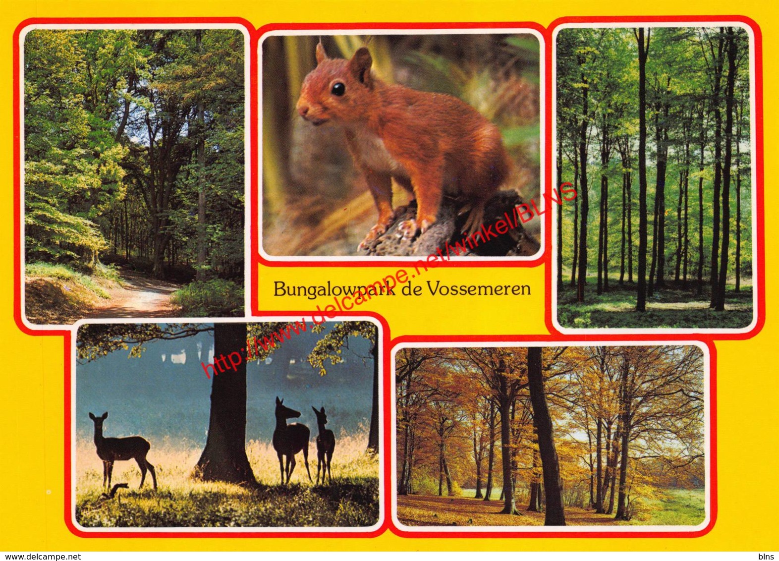 Bungalowpark De Vossemeren - Lommel - Lommel