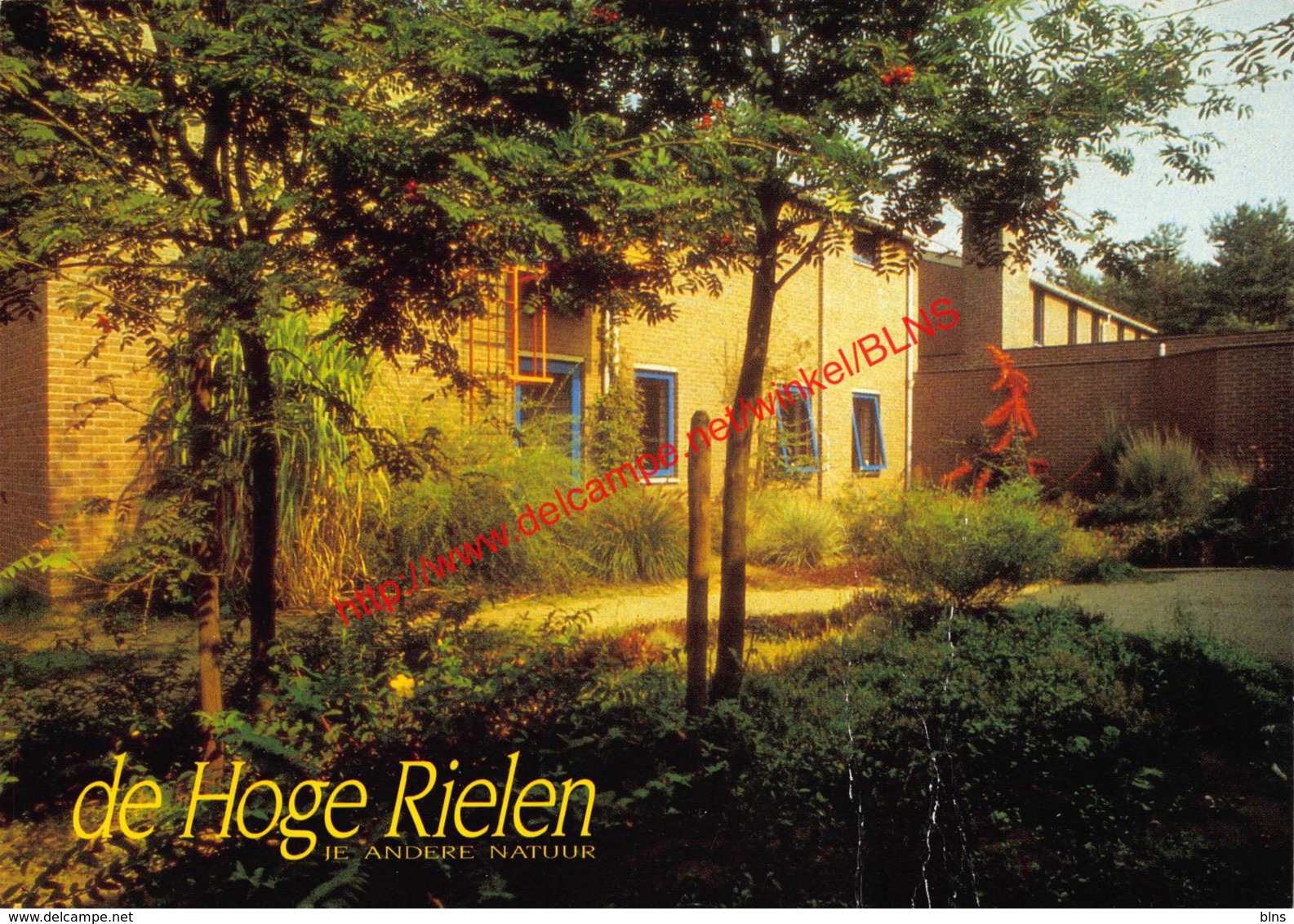 Het Jeugdhotel - De Hoge Rielen - Kasterlee - Kasterlee