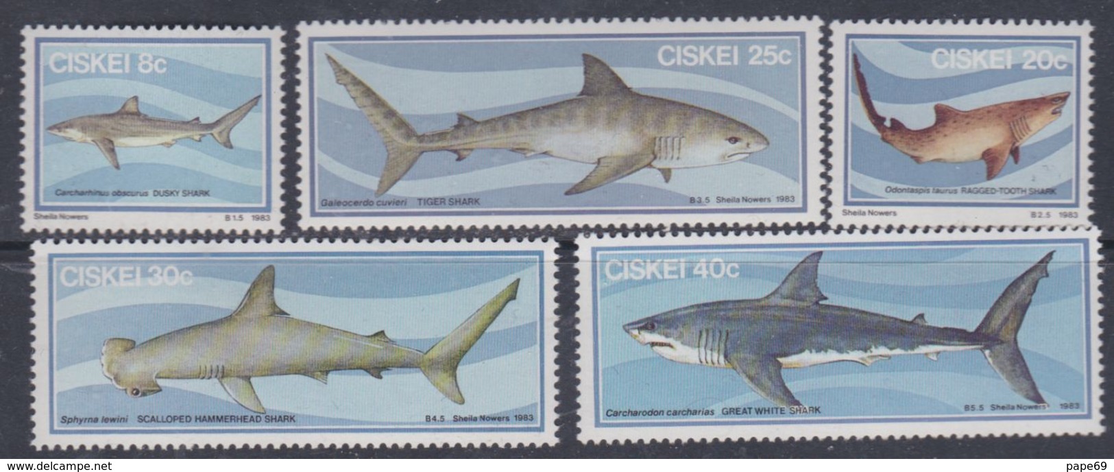 Ciskei N° 38 / 42 XX  Faune Marine : Requins. La Série Des 5 Valeurs Sans Charnière, TB - Ciskei