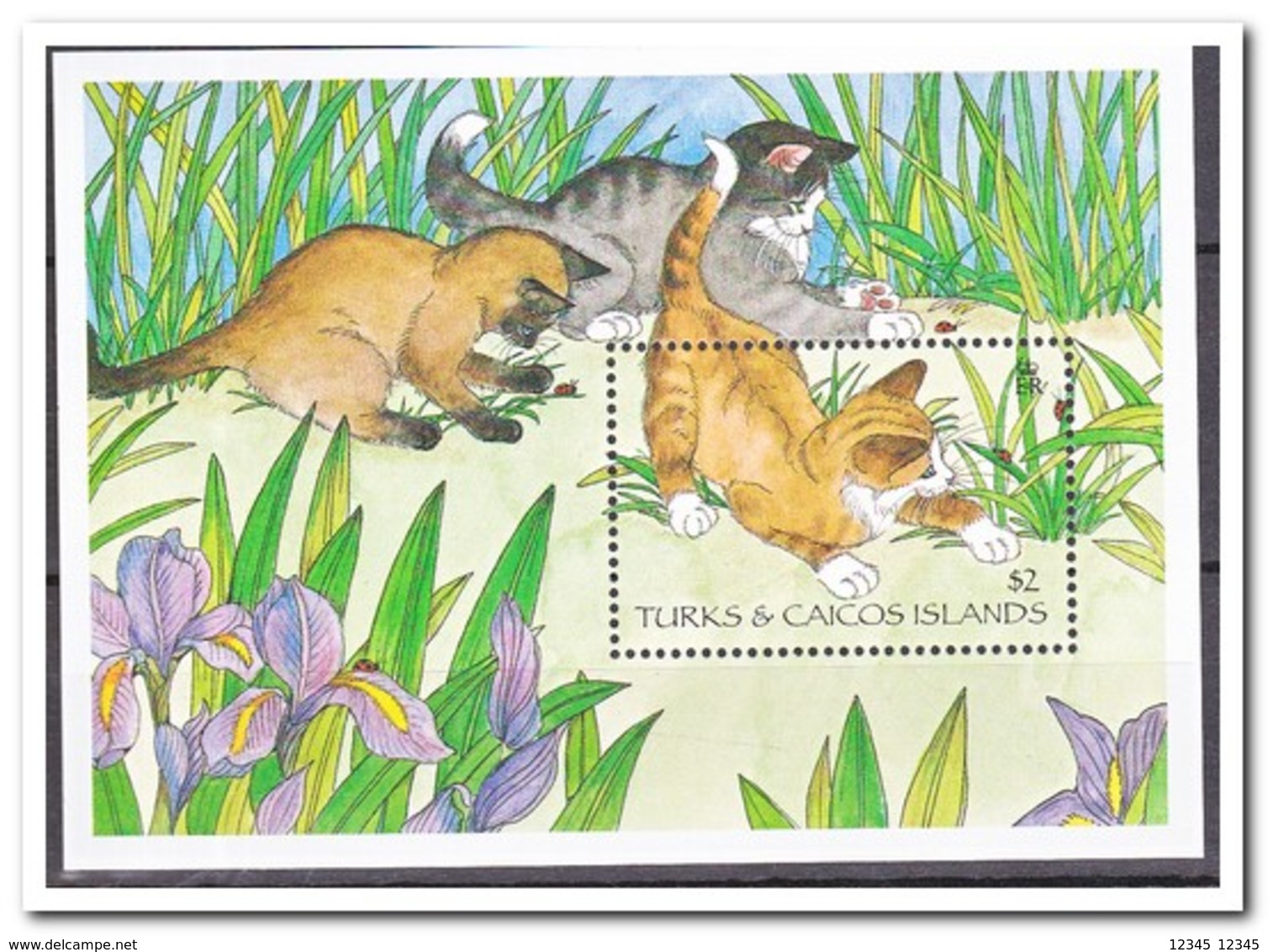 Turks & Caicos 1995, Postfris MNH, Cats - Turks- En Caicoseilanden