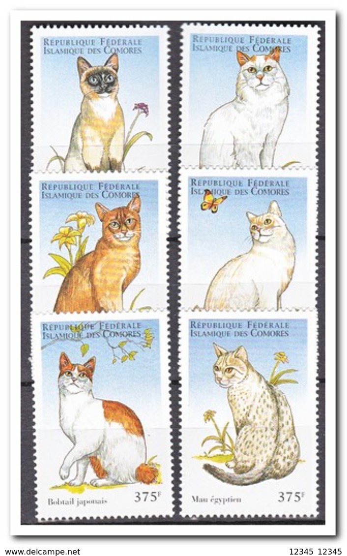 Comoren 1998, Postfris MNH, Cats - Komoren (1975-...)