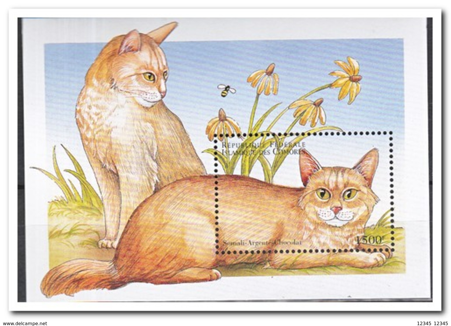 Comoren 1998, Postfris MNH, Cats - Comoren (1975-...)