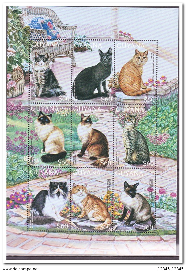 Guyana 1996, Postfris MNH, Cats - Guyana (1966-...)