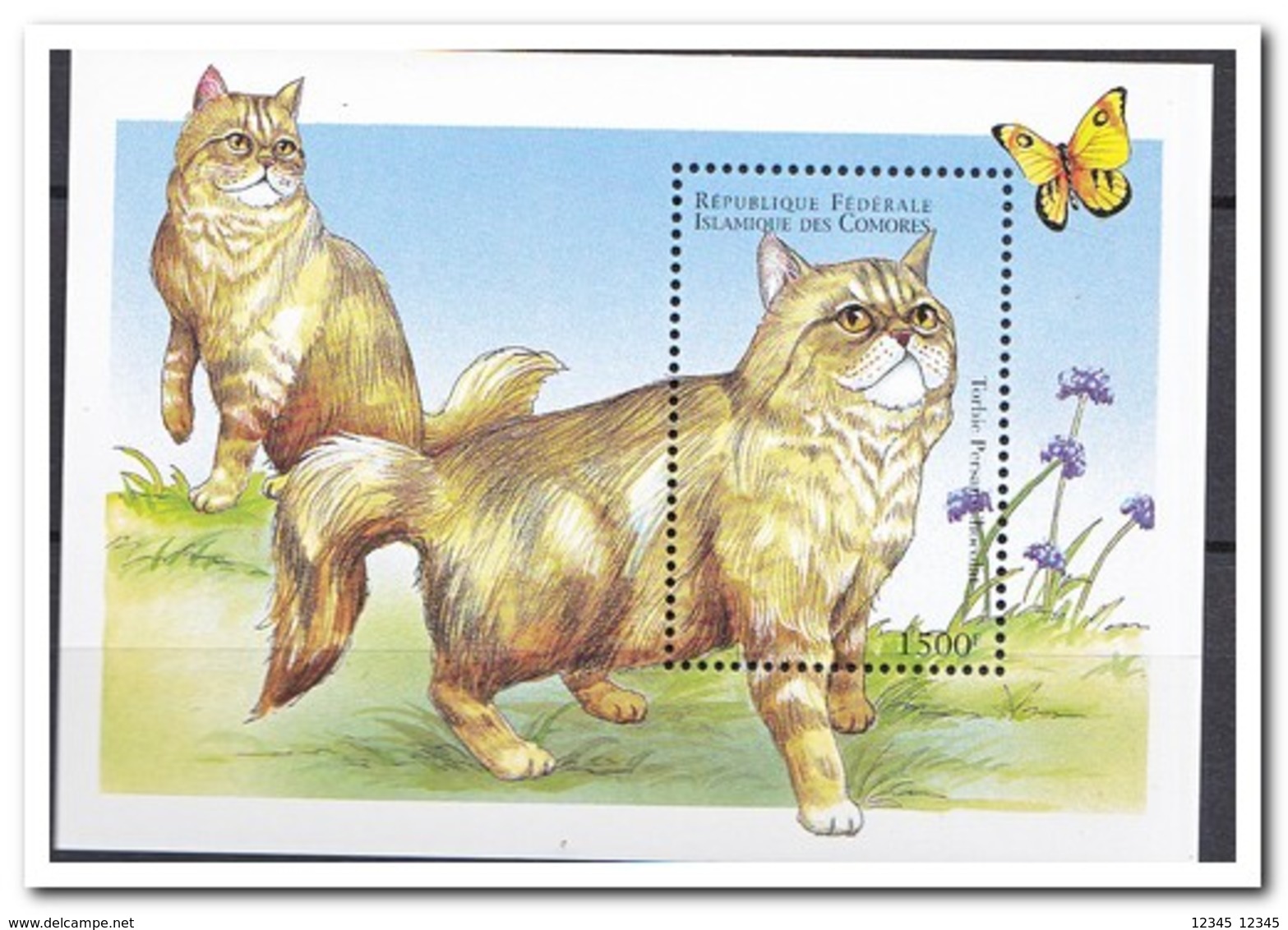 Comoren 1998, Postfris MNH, Cats - Comoren (1975-...)