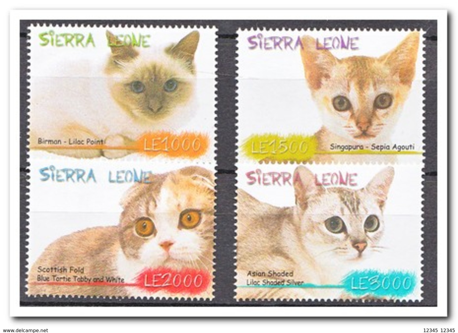 Sierra Leone 2009, Postfris MNH, Cats - Sierra Leone (1961-...)