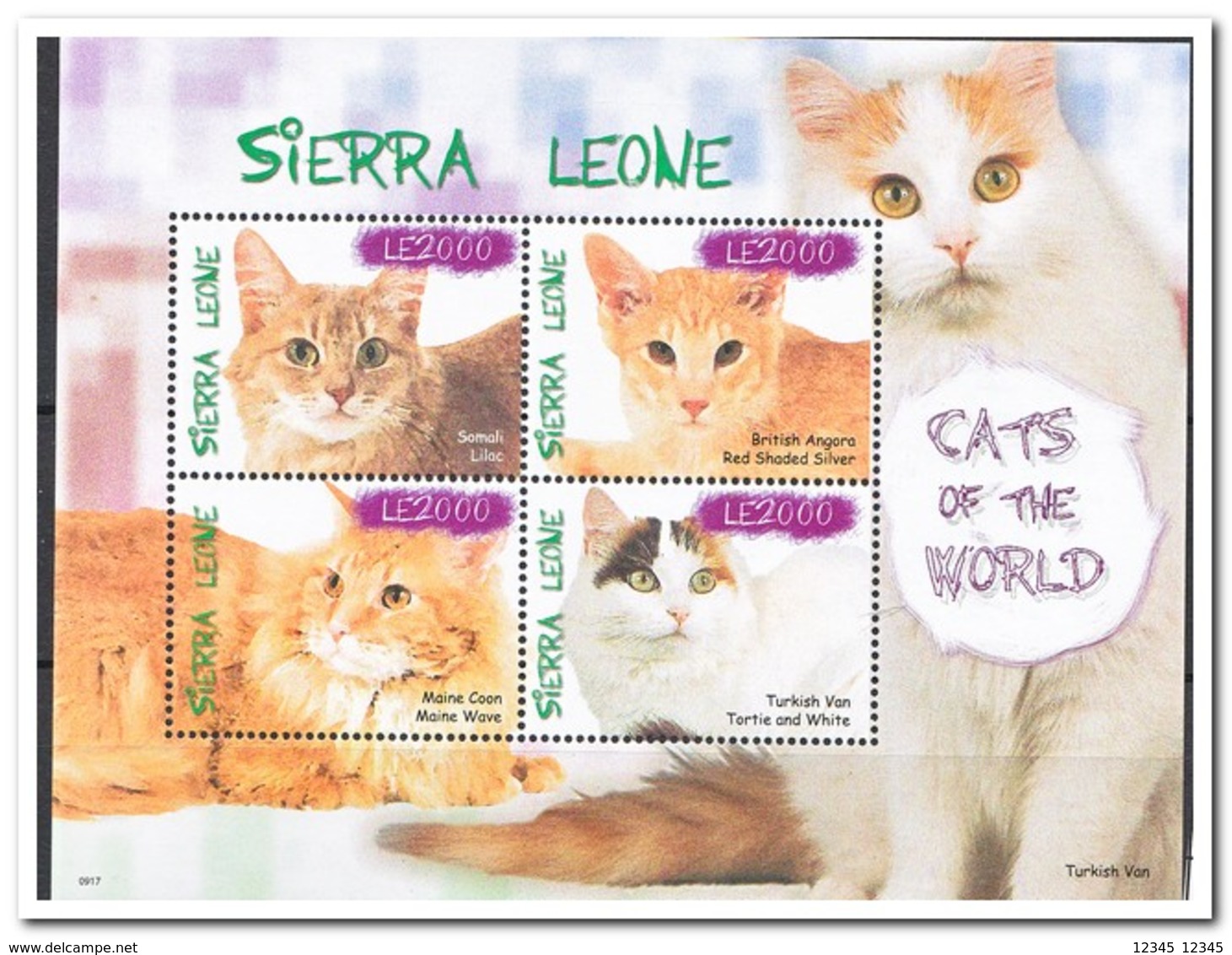 Sierra Leone 2009, Postfris MNH, Cats - Sierra Leone (1961-...)