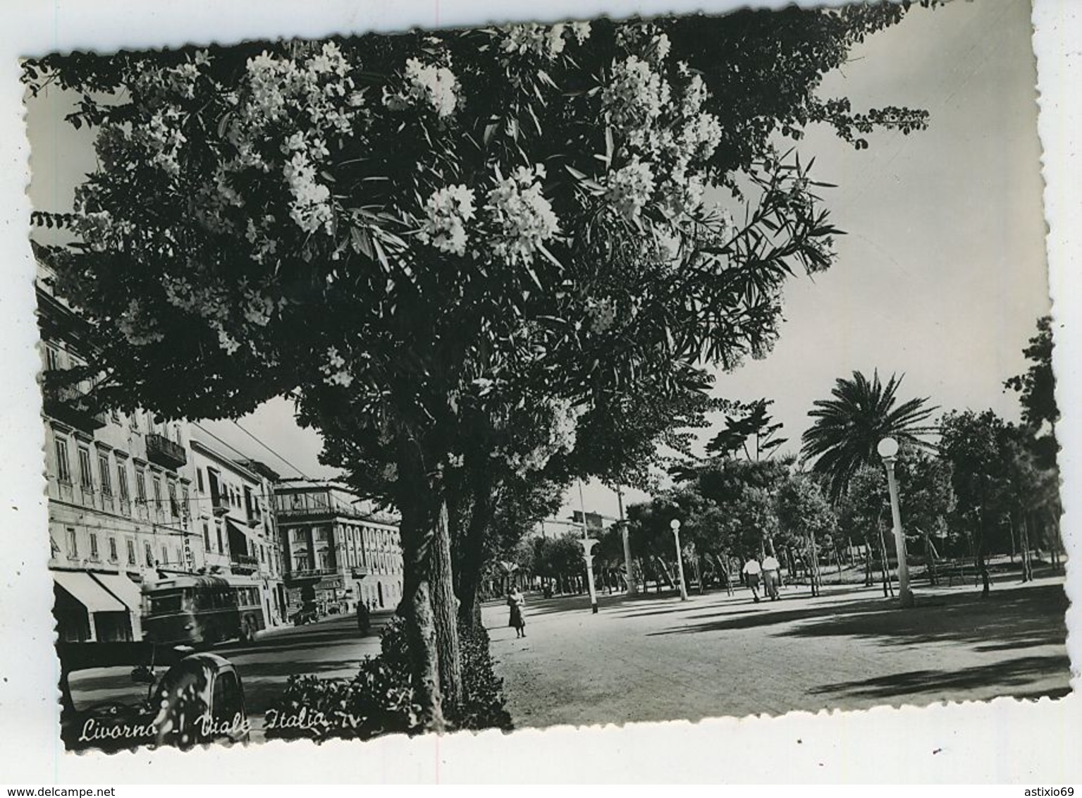 LIVORNO VIALE ITALIA FG VG 1955 - Livorno