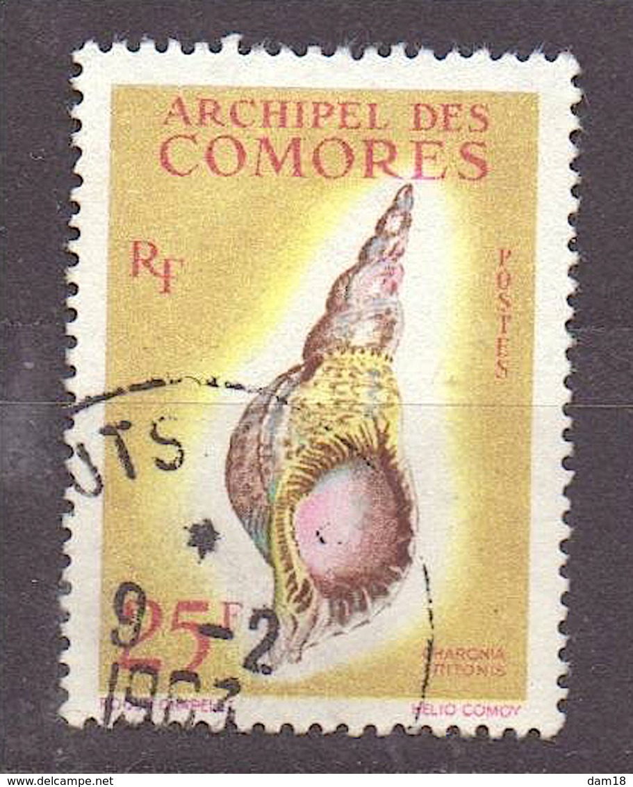 COMORES N° 24 (YT) 25 F. COQUILLAGE  OBLITERE 1962 TBE - Used Stamps